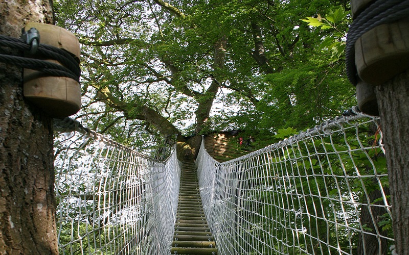Cascade7